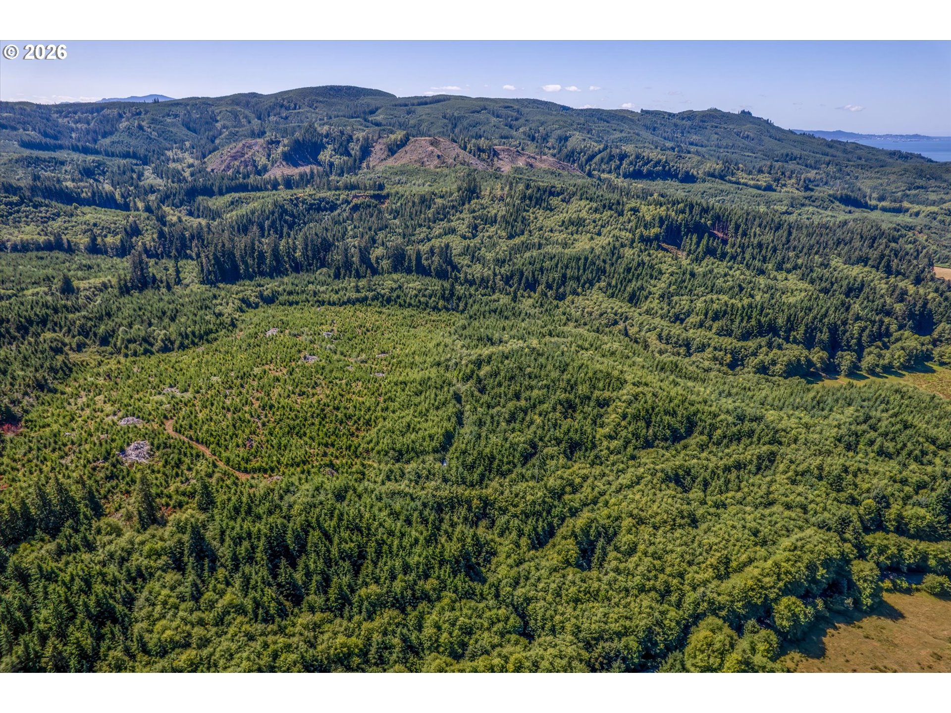 West Valley Road Rosburg, WA 98643 - Photo 14 of 14 a view of a lush green hillside and a building