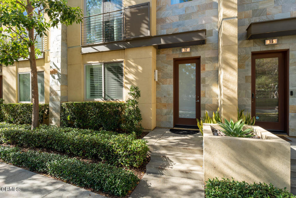 002_TPP_CamillePaton_17Delancy