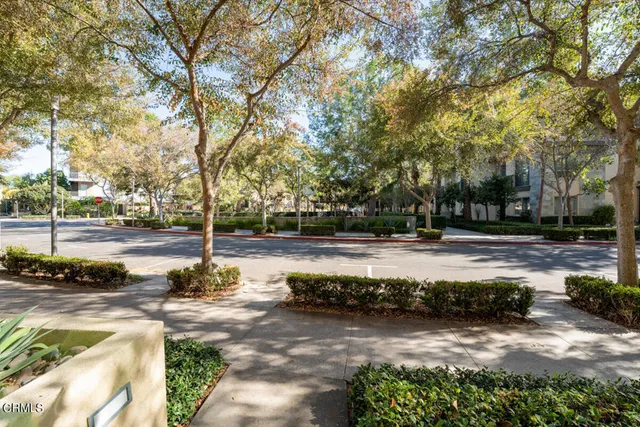 a view of a yard with plants and trees