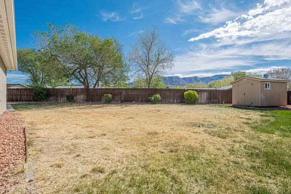 a view of a yard
