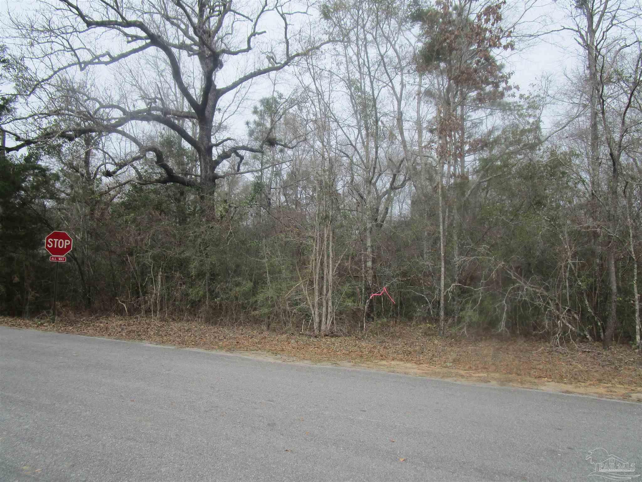 4700 White Ash Road Molino, FL 32577 - Photo 1 of 3