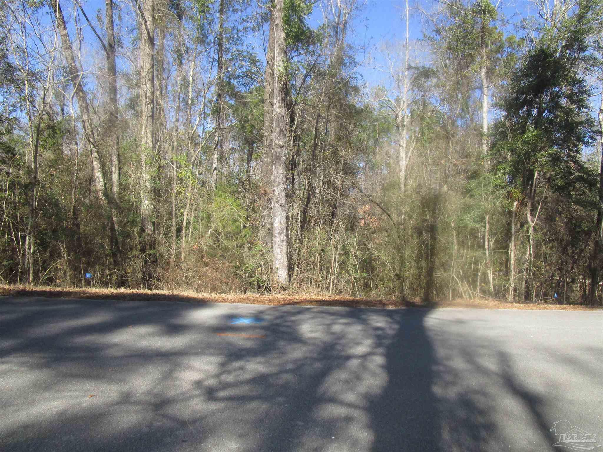 4700 White Ash Road Molino, FL 32577 - Photo 2 of 3