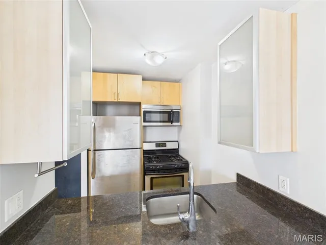 $750 | 210 North 17th Street, Unit 1009, St. Louis, MO 63103