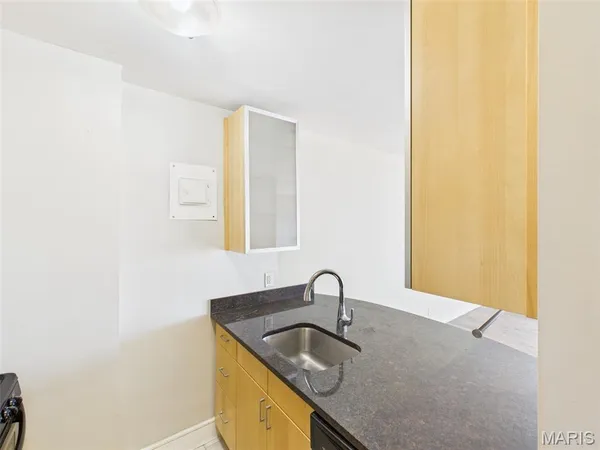 $750 | 210 North 17th Street, Unit 1009, St. Louis, MO 63103