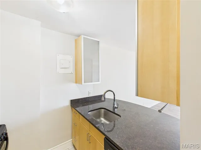 $750 | 210 North 17th Street, Unit 1009, St. Louis, MO 63103