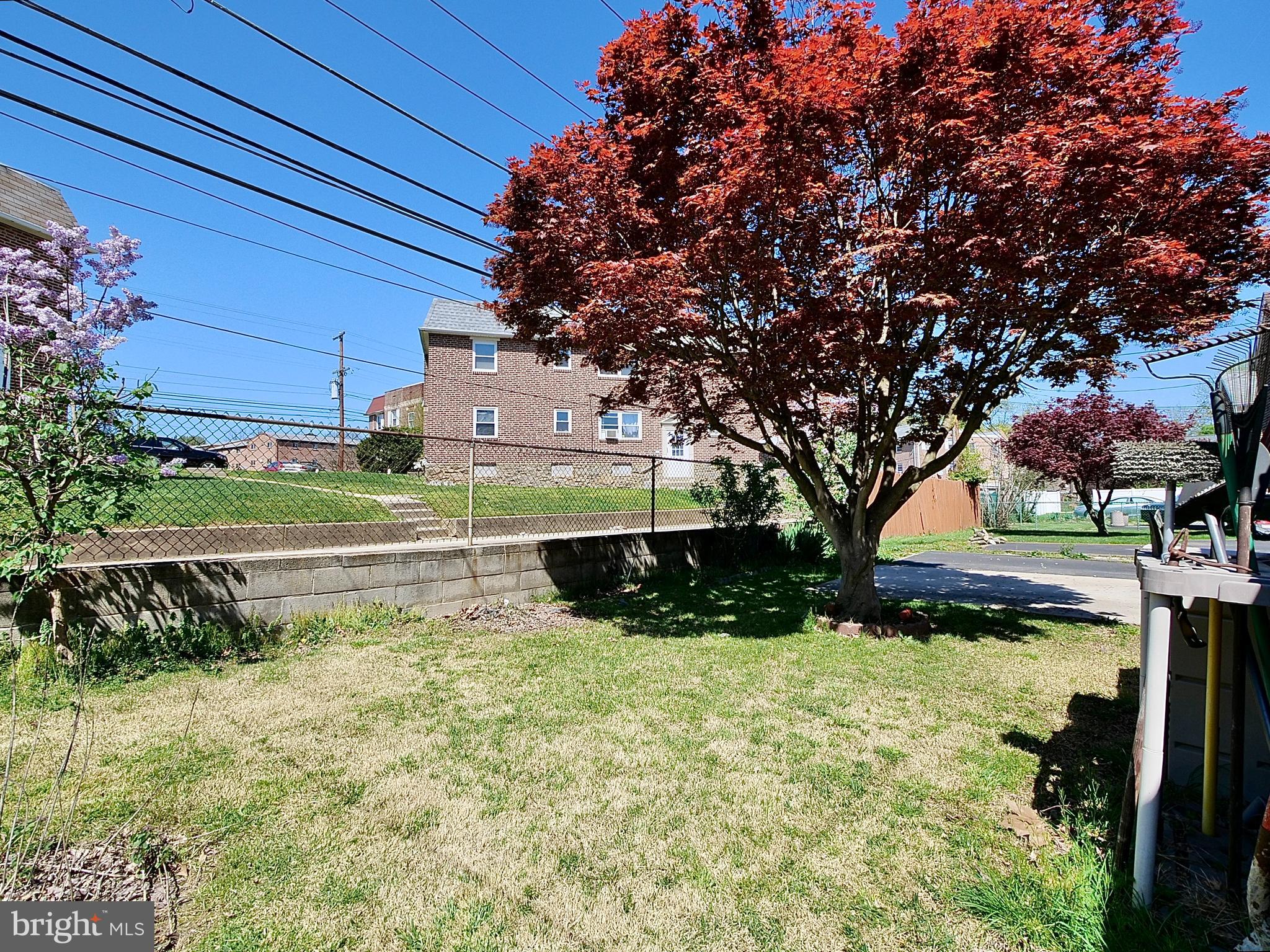 711 Braxton Road Ridley Park, PA 19078 - Photo 45 of 50 Back yard