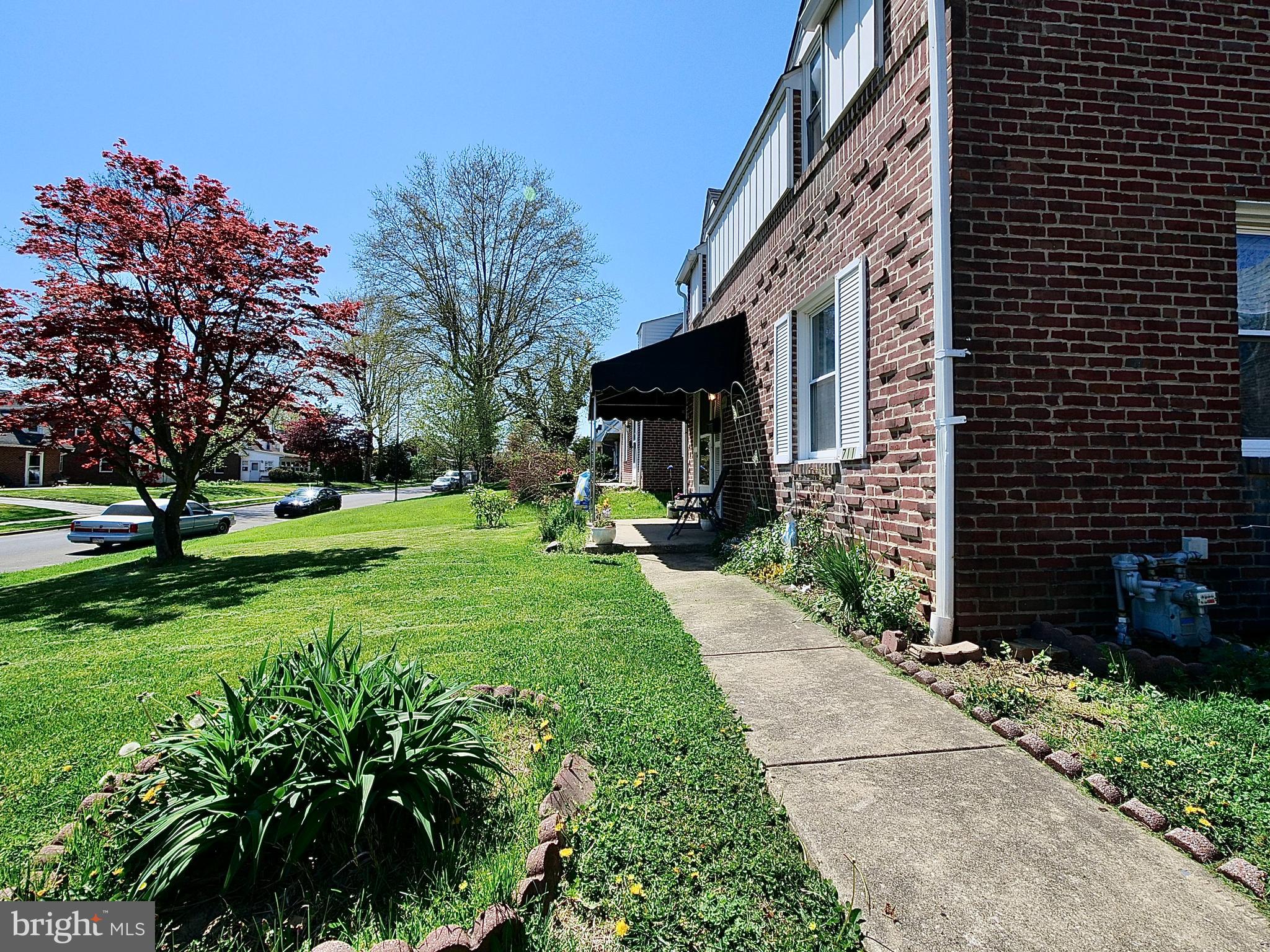 711 Braxton Road Ridley Park, PA 19078 - Photo 6 of 50 Beautiful flowers and trees