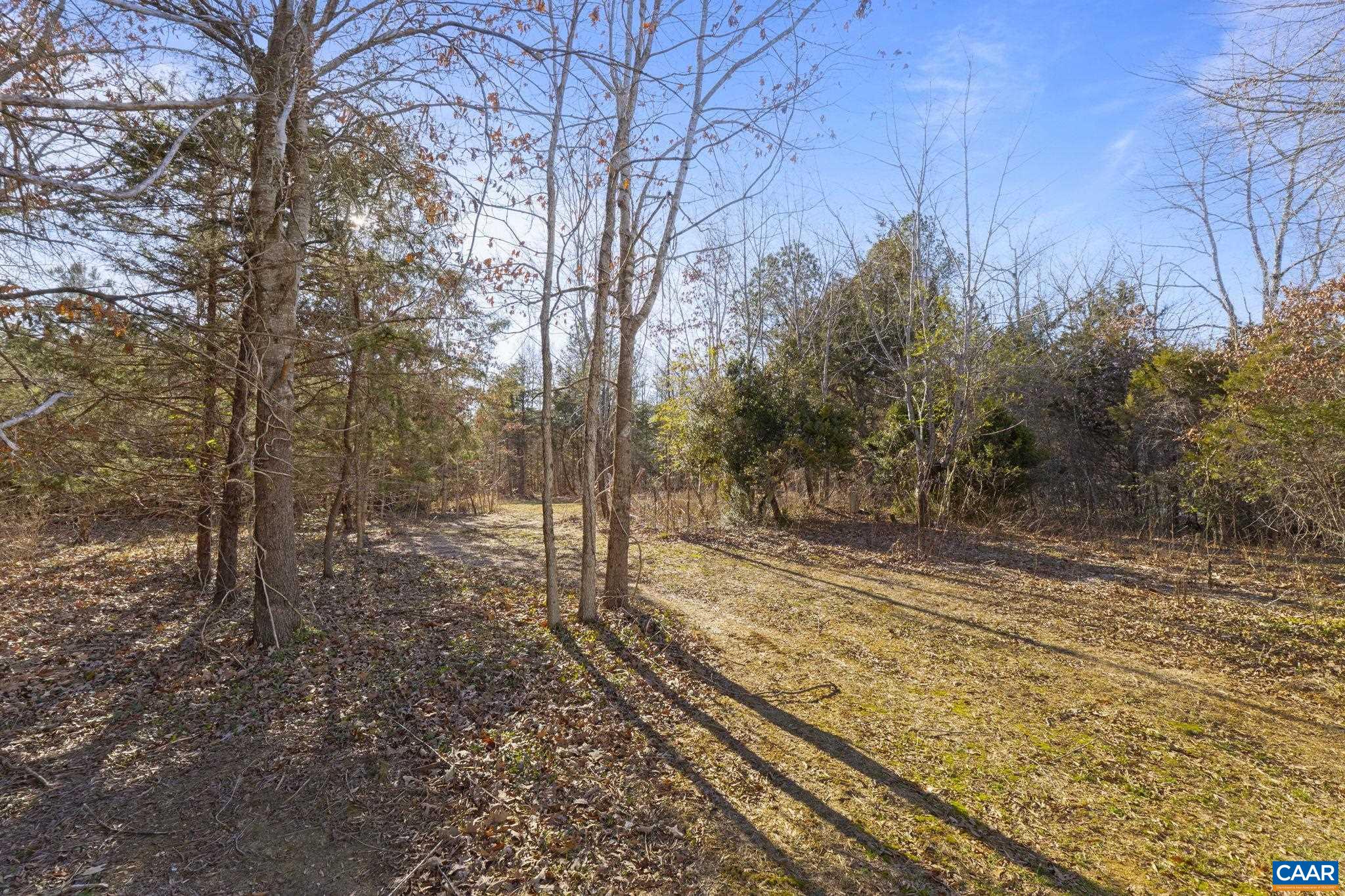 7440 Louisa Road Gordonsville, VA 22942 - Photo 34 of 40 a view of a yard with trees