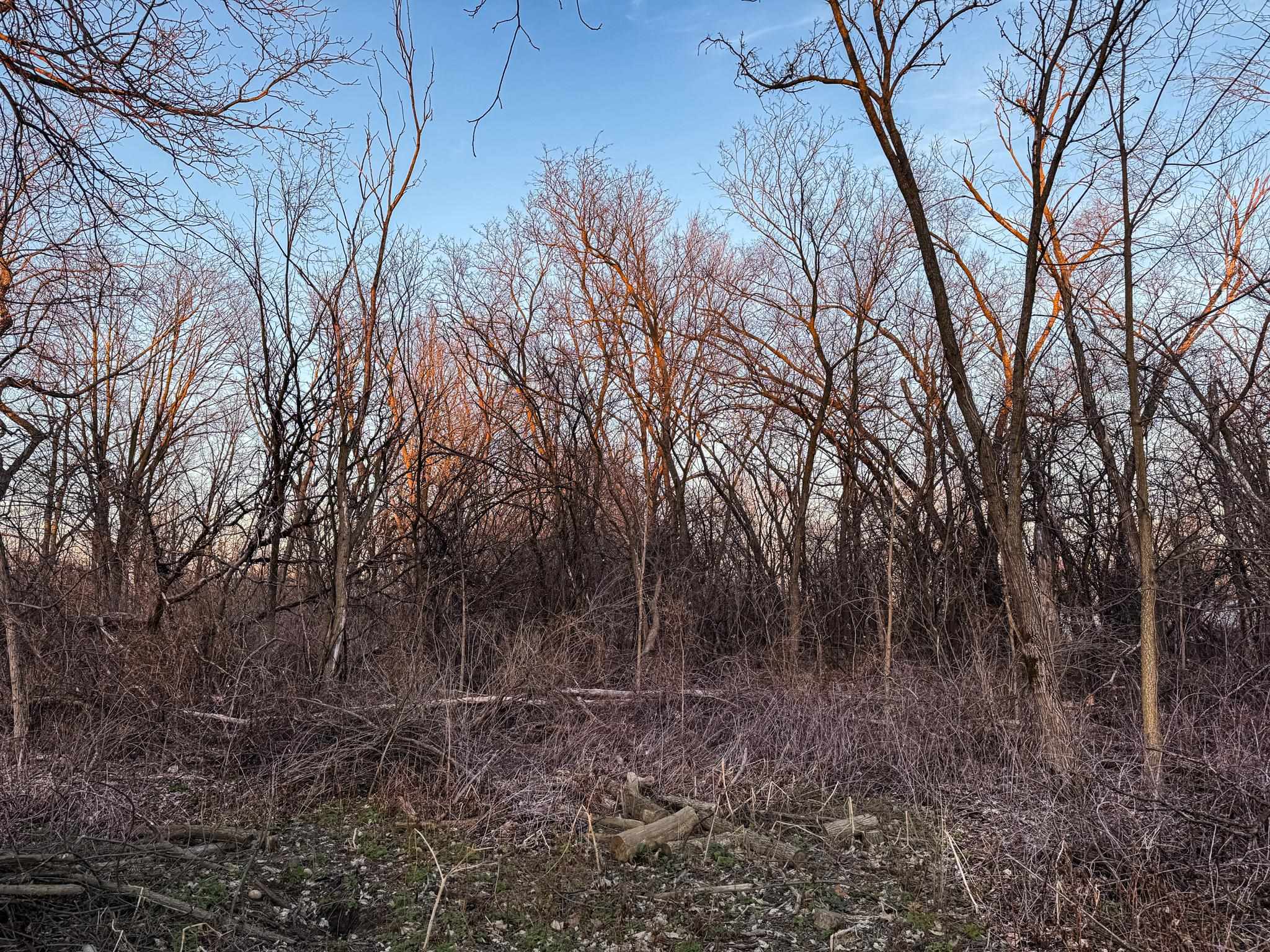 Lot 2 South Afton Beloit, WI 53511 - Photo 8 of 37