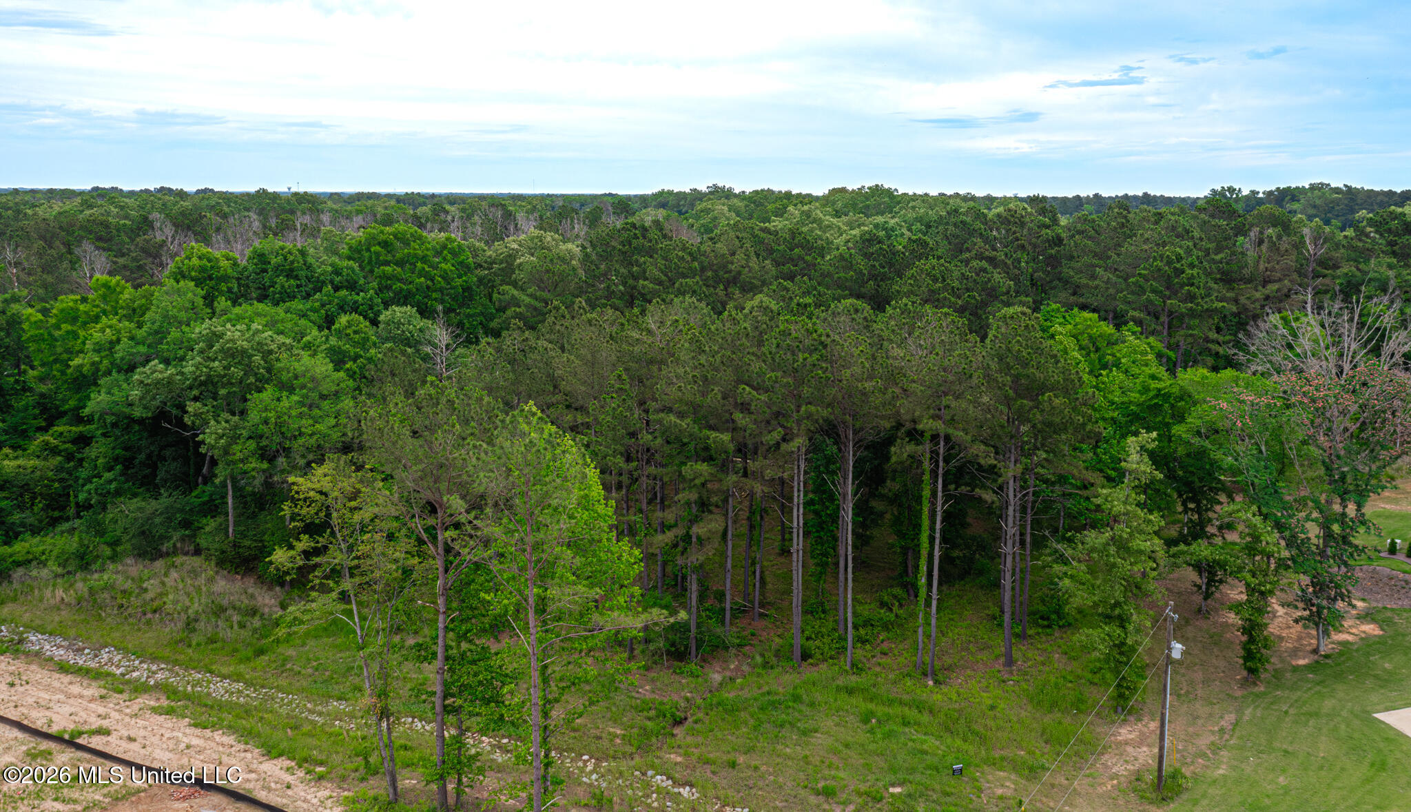 175 Hunter's Cove Madison, MS 39110 - Photo 18 of 18 DJI_0145