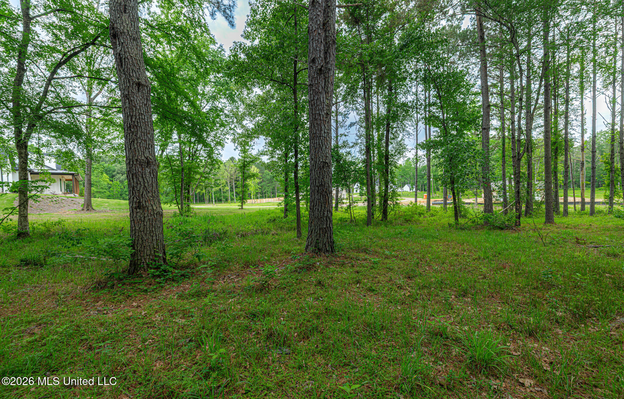 175 Hunter's Cove Madison, MS 39110 - Photo 10 of 18 1R4A6934