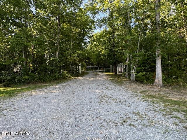 140 Alvin Road Jamestown, TN 38556 - Photo 34 of 45 parisi 12