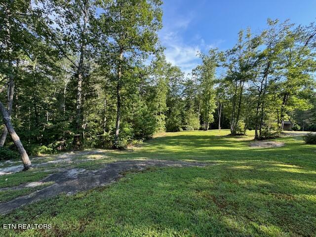 140 Alvin Road Jamestown, TN 38556 - Photo 36 of 45 parisi 11