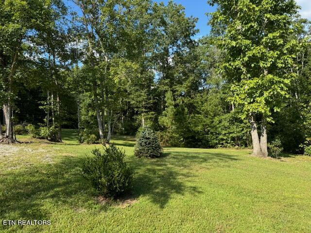 140 Alvin Road Jamestown, TN 38556 - Photo 40 of 45 marita 18
