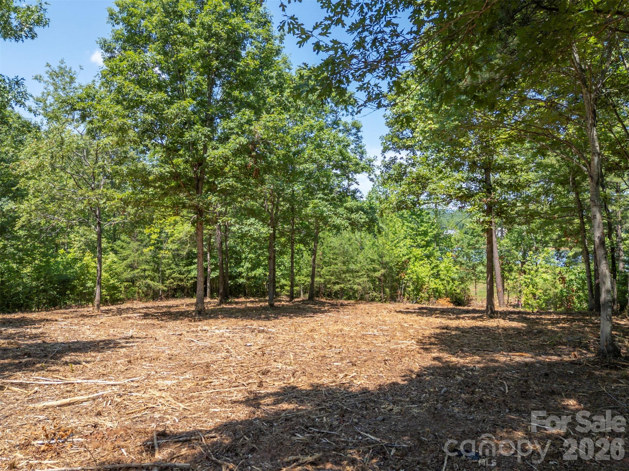 0 Doveridge Drive, Unit 66 Tryon, NC 28782 - Photo 12 of 21 a view of outdoor space with trees