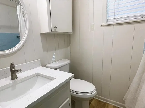 a bathroom with a sink a toilet and a mirror