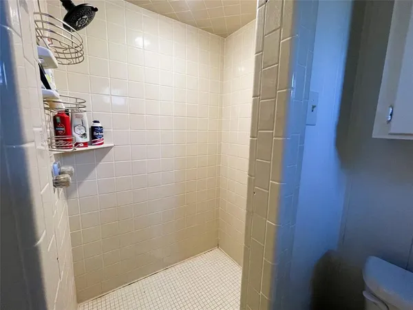 a bathroom with a shower and a sink