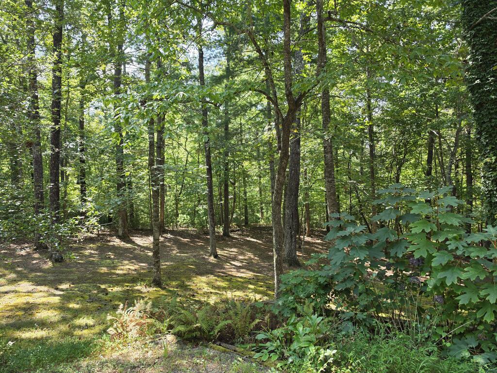 267 Vista Hills Road Murphy, NC 28906 - Photo 41 of 46 Gallery Image 41