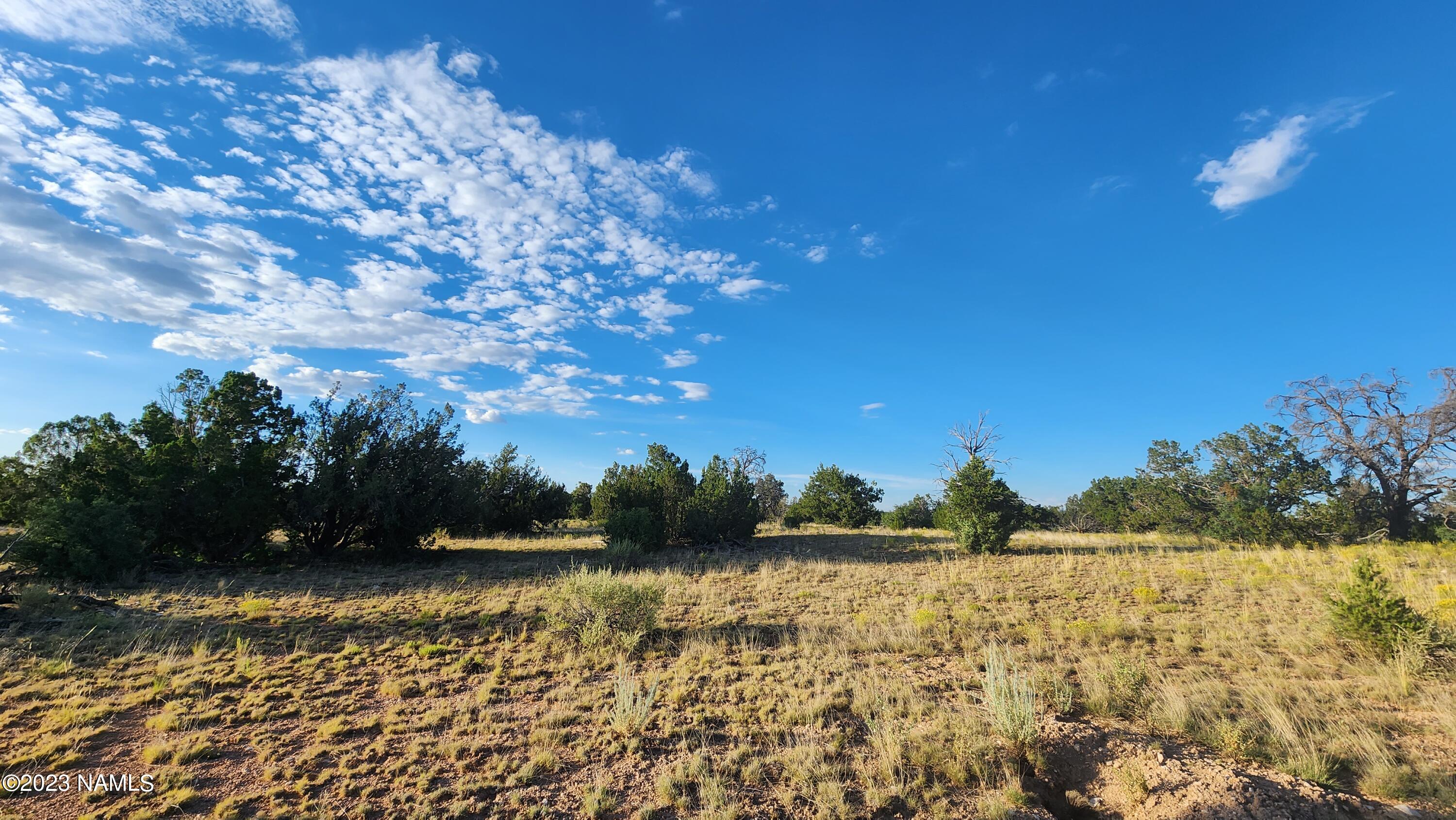 5854 South Estrella Road Williams, AZ 86046 - Photo 13 of 26 20230719_183505