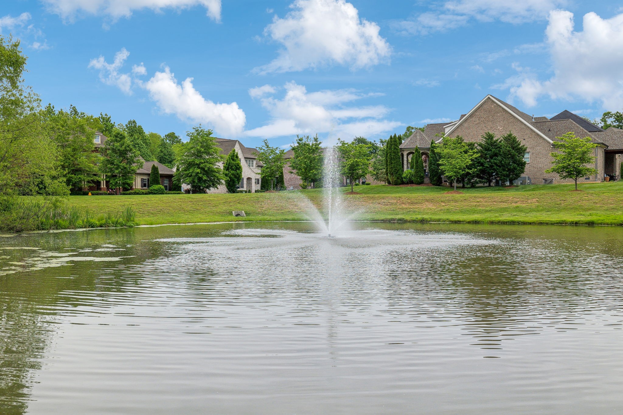 4035 Old Light Circle Arrington, TN 37014 - Photo 61 of 62 a view of a lake with a big yard