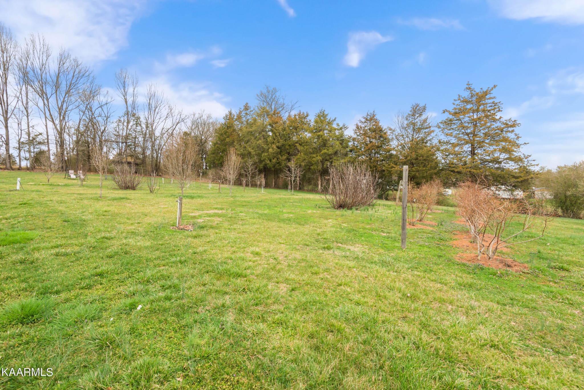 8839 East Emory Road Corryton, TN 37721 - Photo 36 of 41 Gallery Image 36