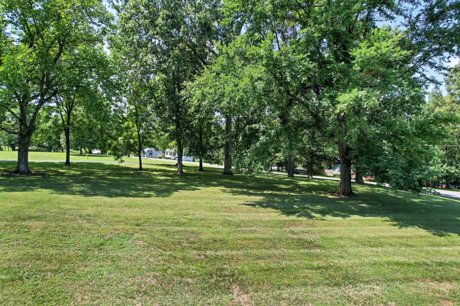 1001 Optimum Lane Springfield, TN 37172 - Photo 8 of 60 Gallery Image 8
