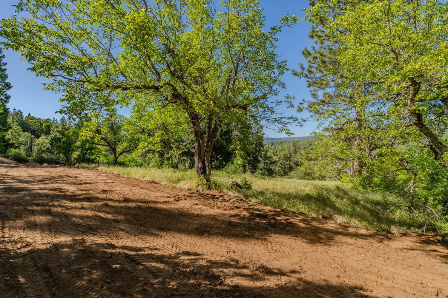 0 Schaefer Ranch Road Pioneer, CA 95666 - Photo 50 of 72