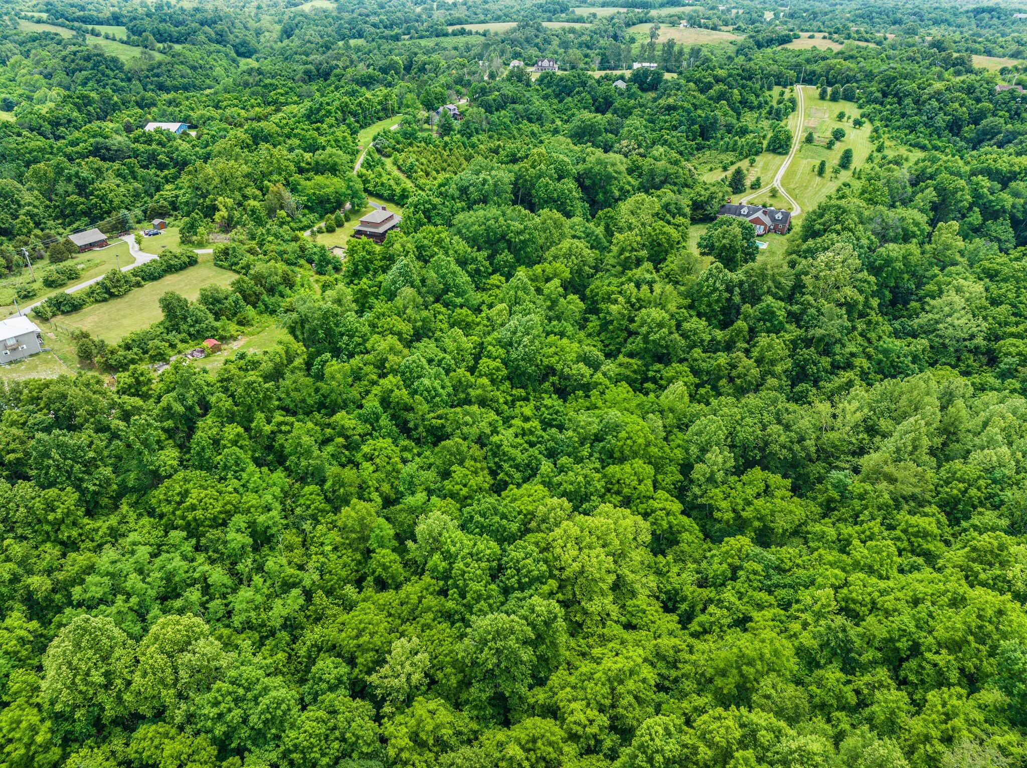 751 North Rdg Road Richmond, KY 40475 - Photo 45 of 45 45-web-or-mls-DJI_0341