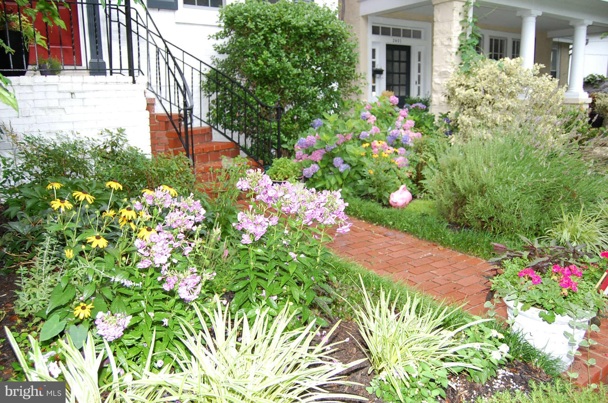 2403 Tunlaw Road Northwest Washington, DC 20007 - Photo 2 of 23 Lovely garden