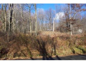 75 Savitch Road Binghamton, NY 13901 - Photo 1 of 1 Gallery Image 1