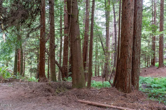 $839,000 | 31101 Turner Road, Fort Bragg, CA 95437