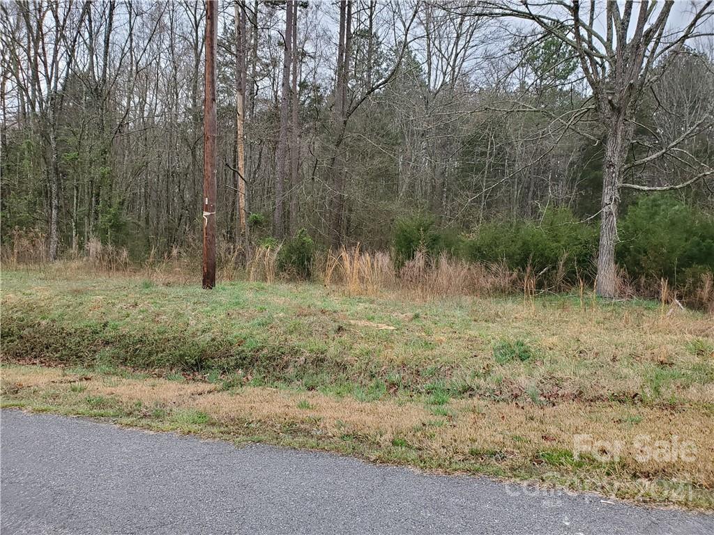 0 State Road China Grove, NC 28023 - Photo 1 of 1 a view of a yard with large trees