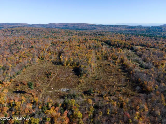 $175,000 | L15 East River Drive, Lake Luzerne, NY 12846