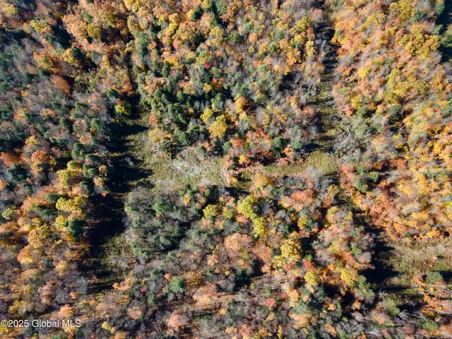 $175,000 | L15 East River Drive, Lake Luzerne, NY 12846