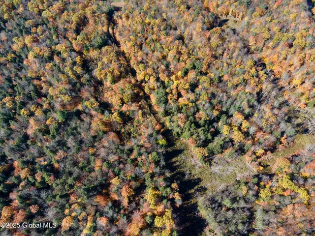 $175,000 | L15 East River Drive, Lake Luzerne, NY 12846