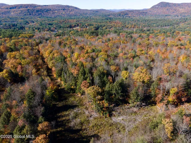 $175,000 | L15 East River Drive, Lake Luzerne, NY 12846