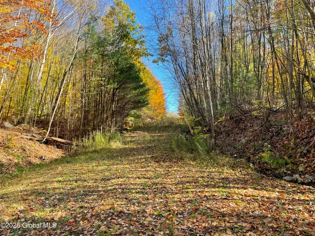 $175,000 | L15 East River Drive, Lake Luzerne, NY 12846