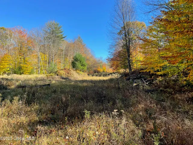 $175,000 | L15 East River Drive, Lake Luzerne, NY 12846