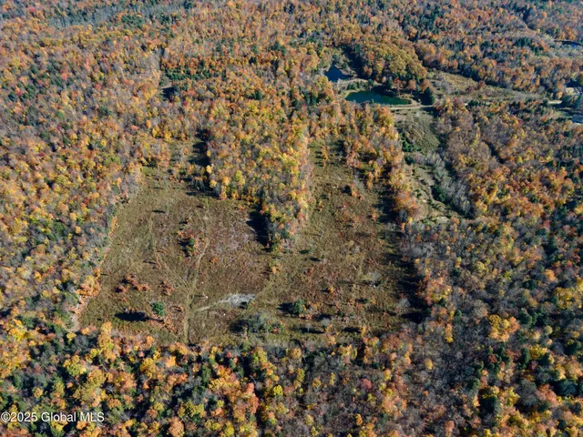 $175,000 | L15 East River Drive, Lake Luzerne, NY 12846