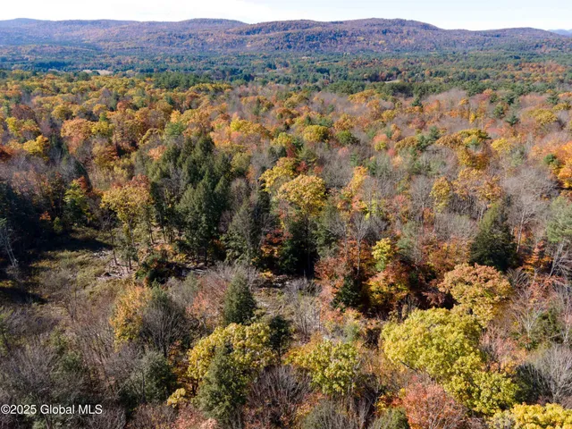 $175,000 | L15 East River Drive, Lake Luzerne, NY 12846