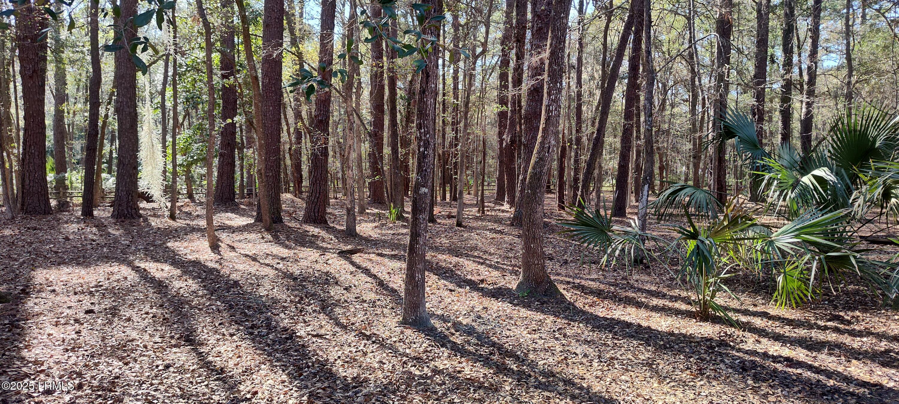 107 Walling Grove Road Beaufort, SC 29907 - Photo 62 of 66 IMG_20250322_164347354_HDR