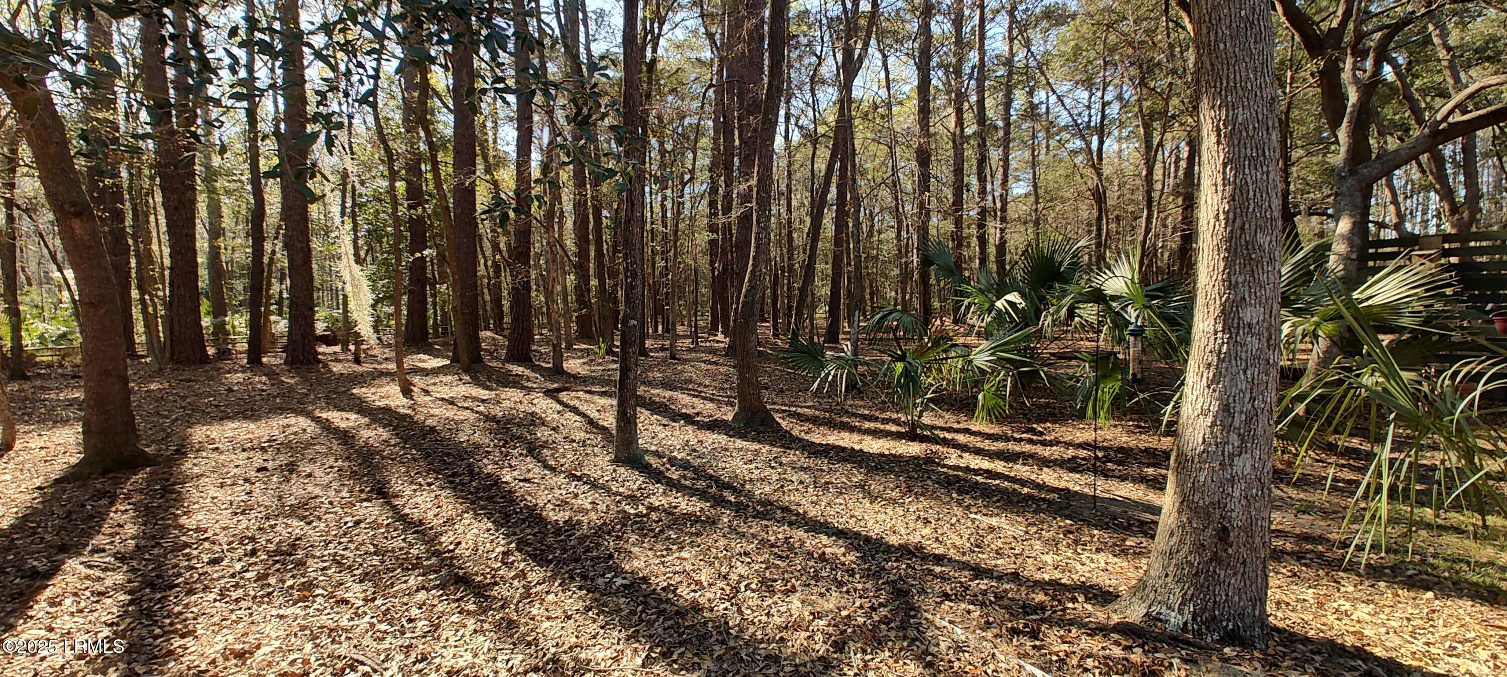 107 Walling Grove Road Beaufort, SC 29907 - Photo 63 of 66 IMG_20250322_164350088_HDR