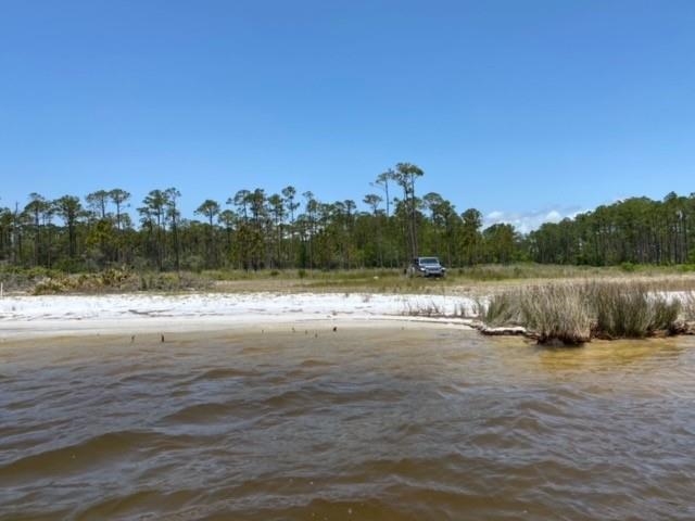 Ft Morgan Road Gulf Shores, AL 36542 - Photo 5 of 11