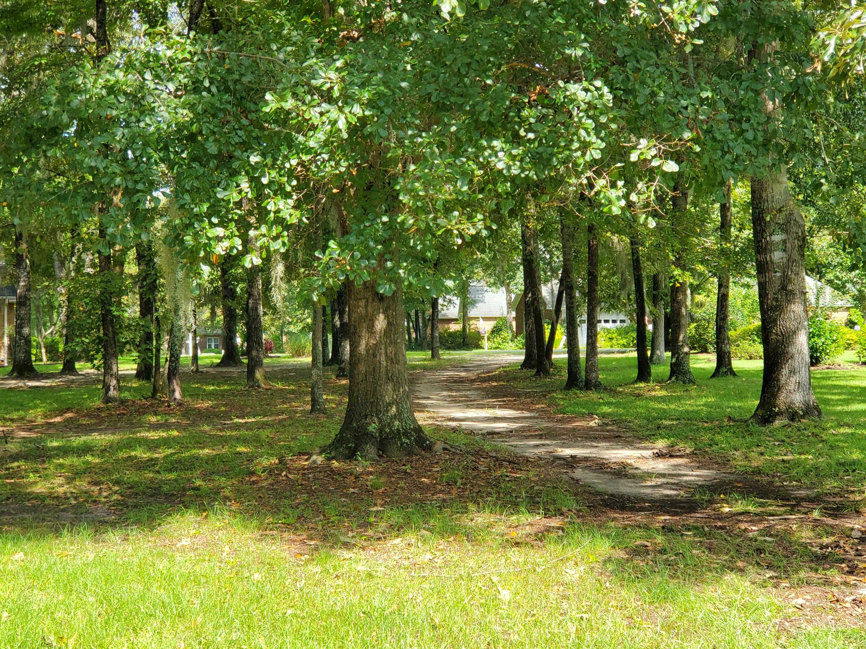 264 Ridge Lake Drive Manning, SC 29102 - Photo 1 of 21 FACE OF THE LOT