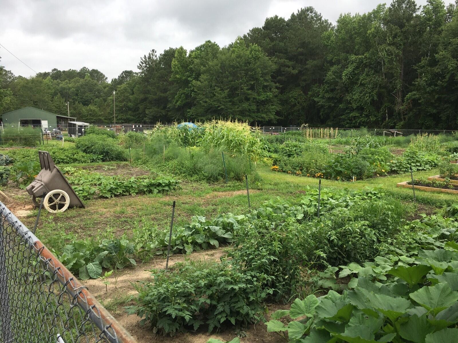 264 Ridge Lake Drive Manning, SC 29102 - Photo 18 of 21 COMMUNITY GARDEN AREA