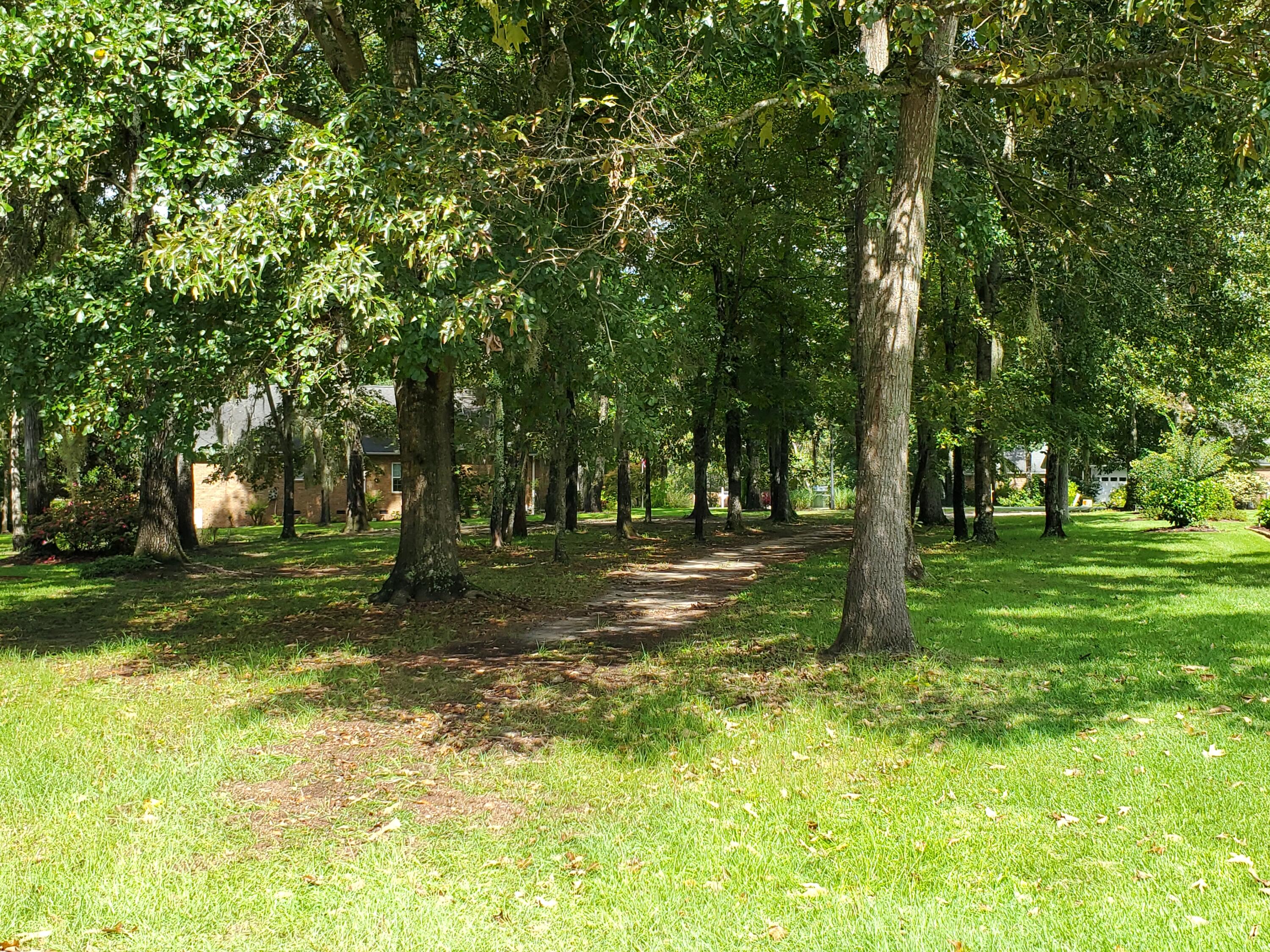 264 Ridge Lake Drive Manning, SC 29102 - Photo 2 of 21 MATURE TREES