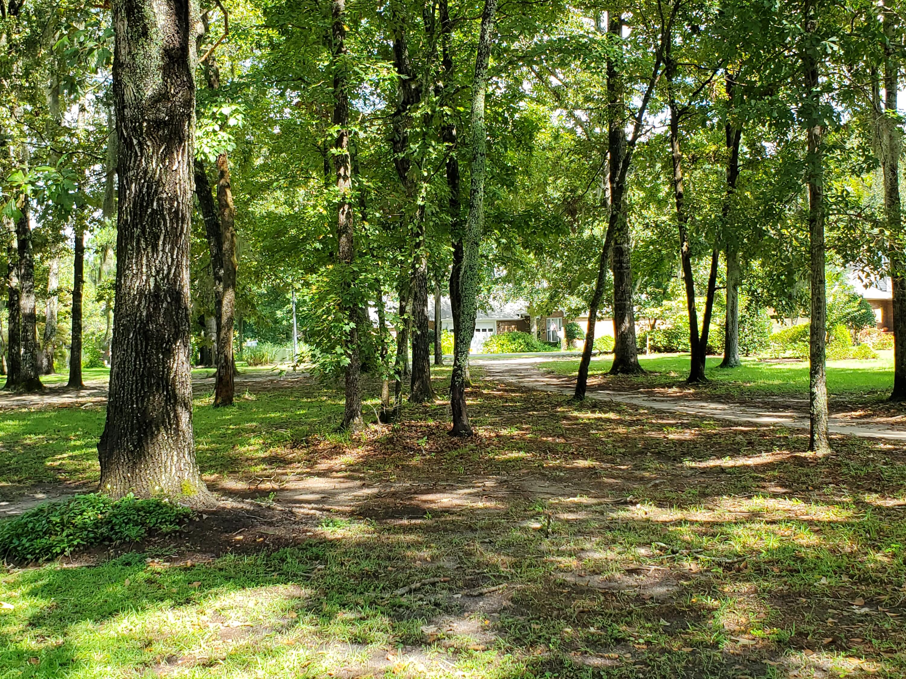 264 Ridge Lake Drive Manning, SC 29102 - Photo 4 of 21 MIDDLE OF THE LOT