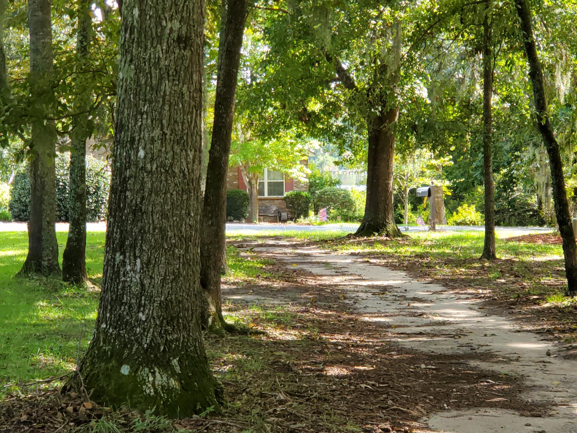 264 Ridge Lake Drive Manning, SC 29102 - Photo 5 of 21 VIEW TOWARD THE LAKE