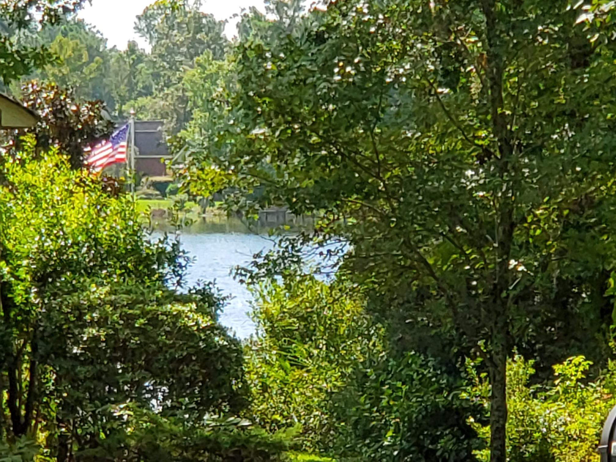 264 Ridge Lake Drive Manning, SC 29102 - Photo 6 of 21 LAKE ARBU ACROSS THE STREET
