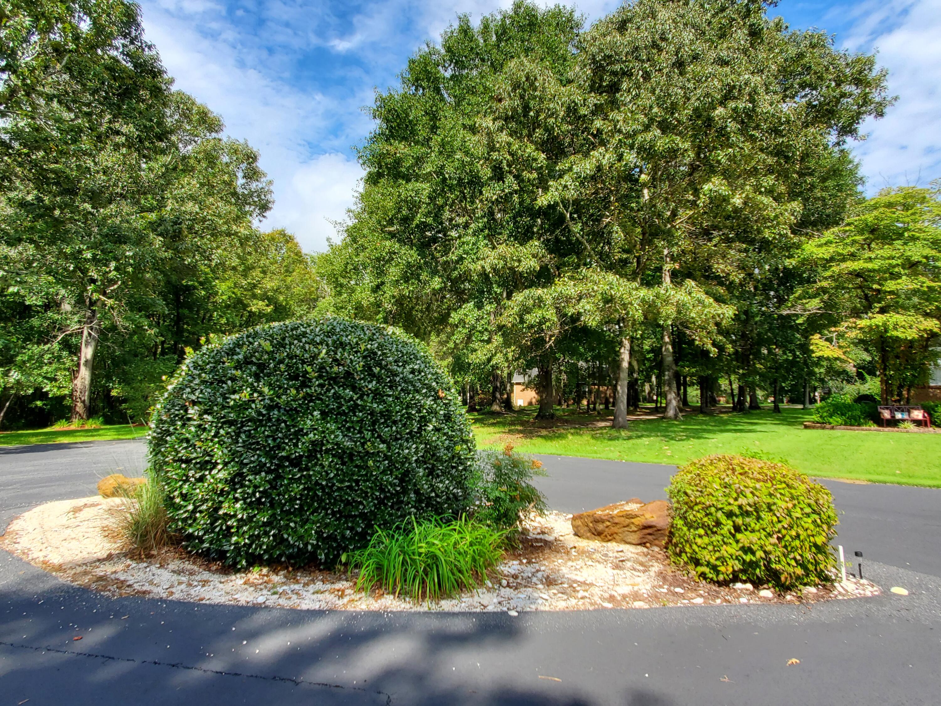 264 Ridge Lake Drive Manning, SC 29102 - Photo 8 of 21 LOT IS ON A CUL-DE-SAC